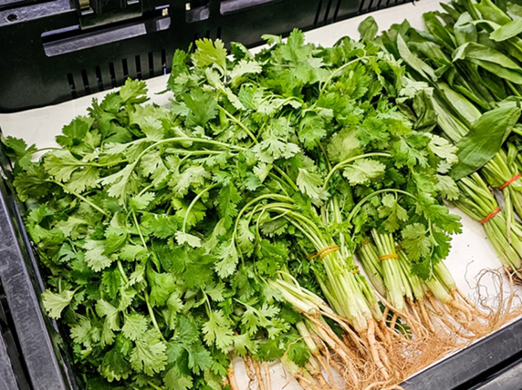 10 loại rau củ hoàn toàn KHÔNG cần phun thuốc trừ sâu vì quá ít bị sâu bọ, mua ngoài chợ cũng an tâm hơn- Ảnh 3.