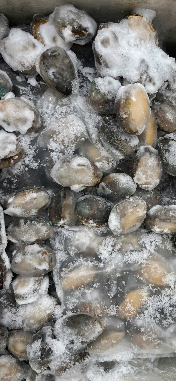 Quản lý thị trường 2026: Kiểm tra Hàng loạt điểm kinh doanh , phát hiện vi phạm nghiêm trọng - Ảnh 4.