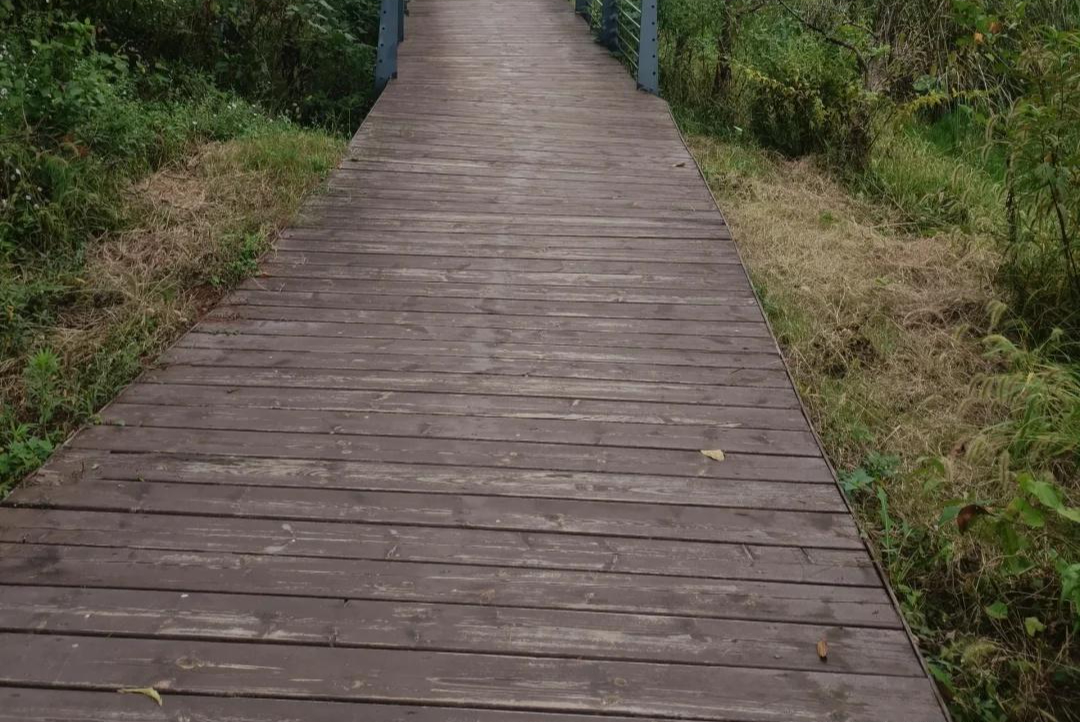 Bước vào tuổi 40 và 10 thói quen tiết kiệm tiền giúp tôi tiết kiệm 1 , 1 tỷ đồng - Ảnh 4.