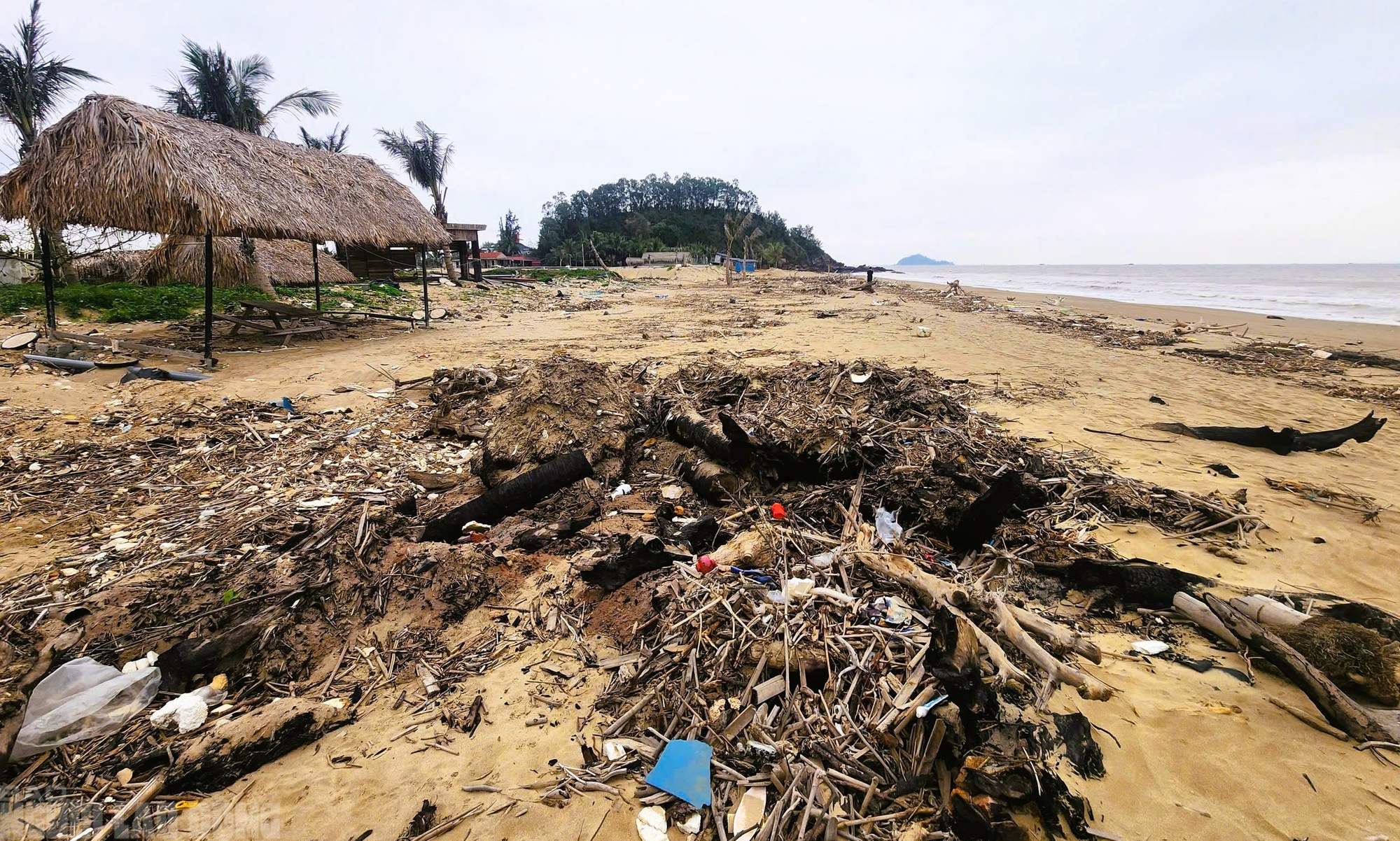 Bãi biển Hải Tiến thanh hóa ngổn ngang sau bão , nguy cơ lỡ hẹn mùa du lịch hè 2026 - Ảnh 14.