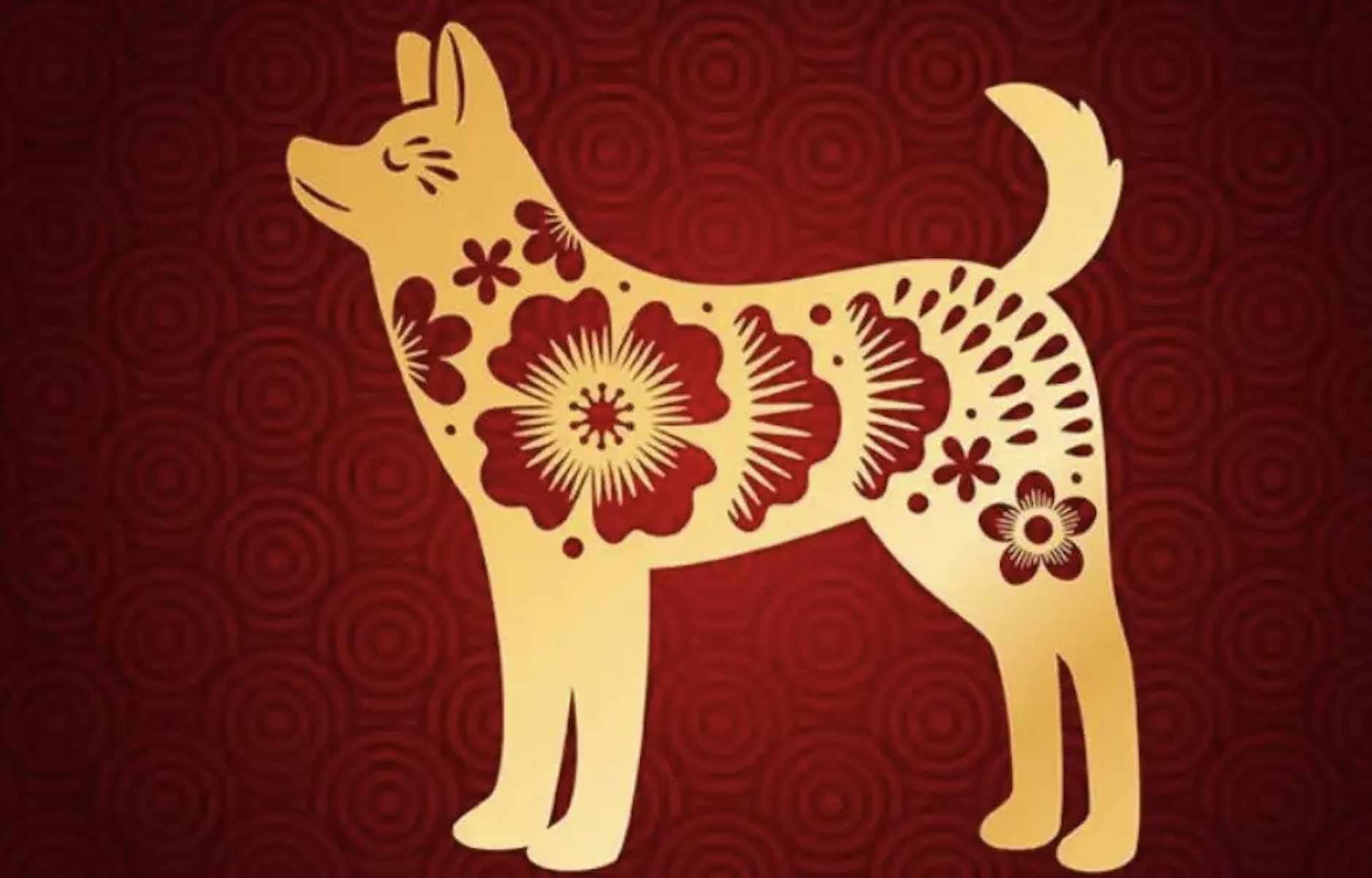 Sau rằm tháng 2 âm lịch, 4 con giáp “trúng vận” lớn: Tài lộc dồn dập, sự nghiệp thăng hoa, tiền tình viên mãn - Ảnh 4.