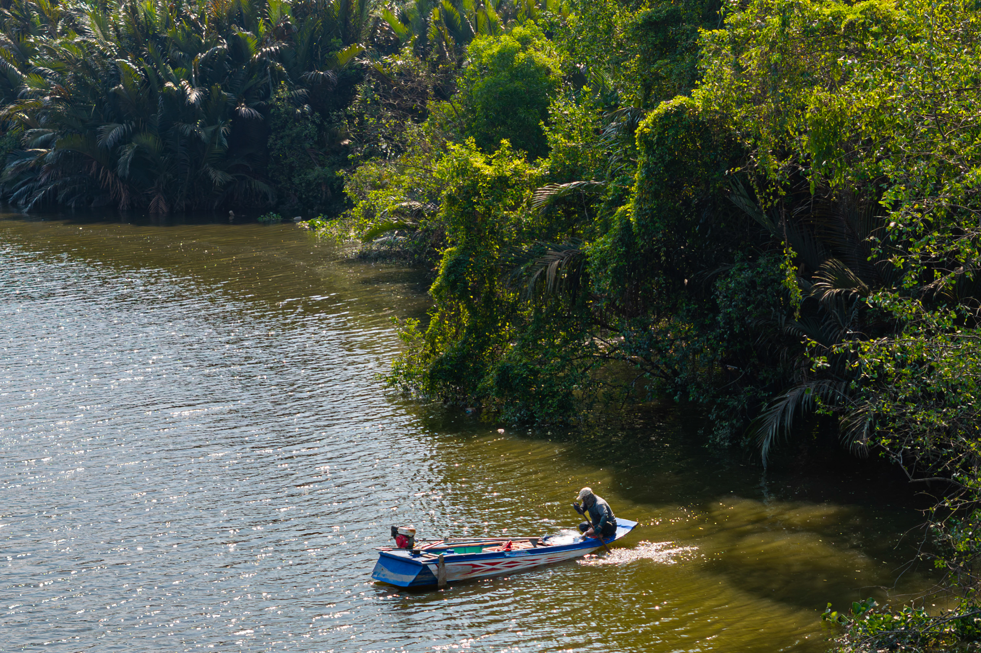 Toàn cảnh khu đất 187 ha toàn dừa nước, cỏ dại đang được Sun Group rót 6 tỷ USD để biến thành siêu đô thị ở TP.HCM - Ảnh 11.