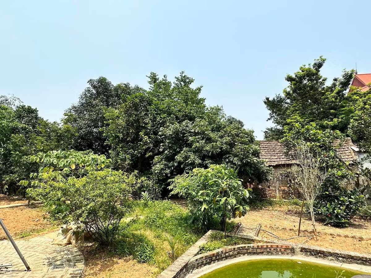 Cuộc sống làm mẹ đơn thân yên bình của cô Hạnh trong Bến không chồng - Ảnh 11.