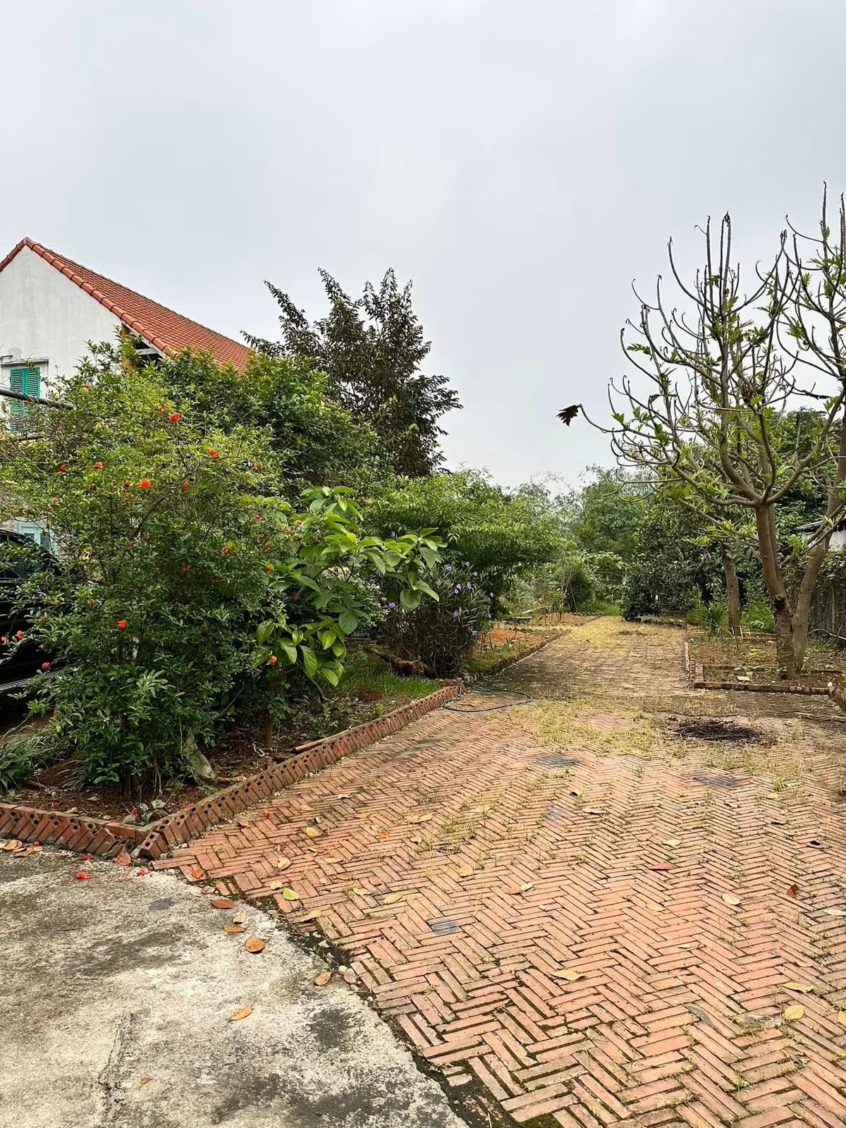 Cuộc sống làm mẹ đơn thân yên bình của cô Hạnh trong Bến không chồng - Ảnh 10.