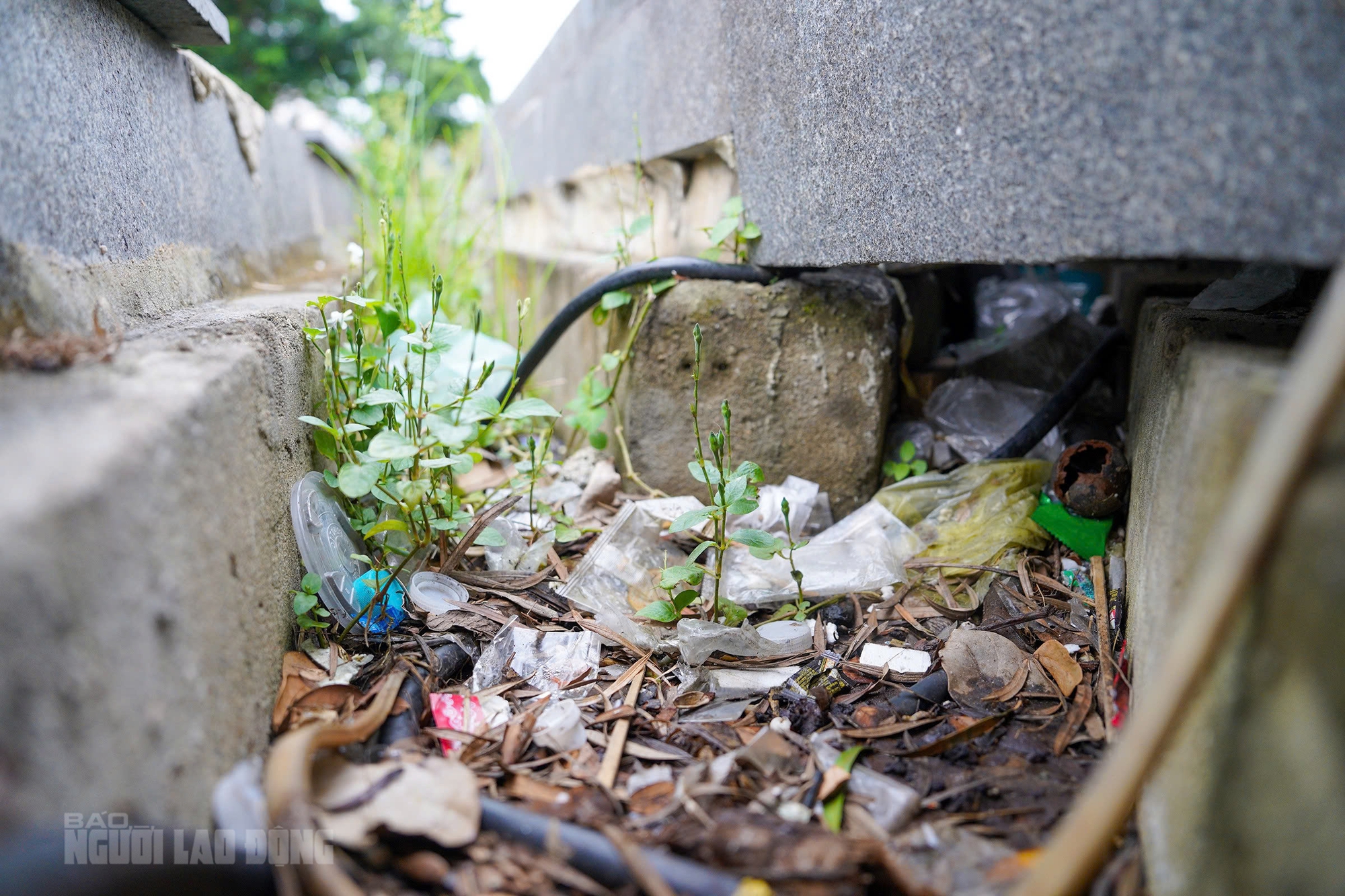 Cận cảnh bến du thuyền trăm tỉ bên sông Hàn - Ảnh 8.