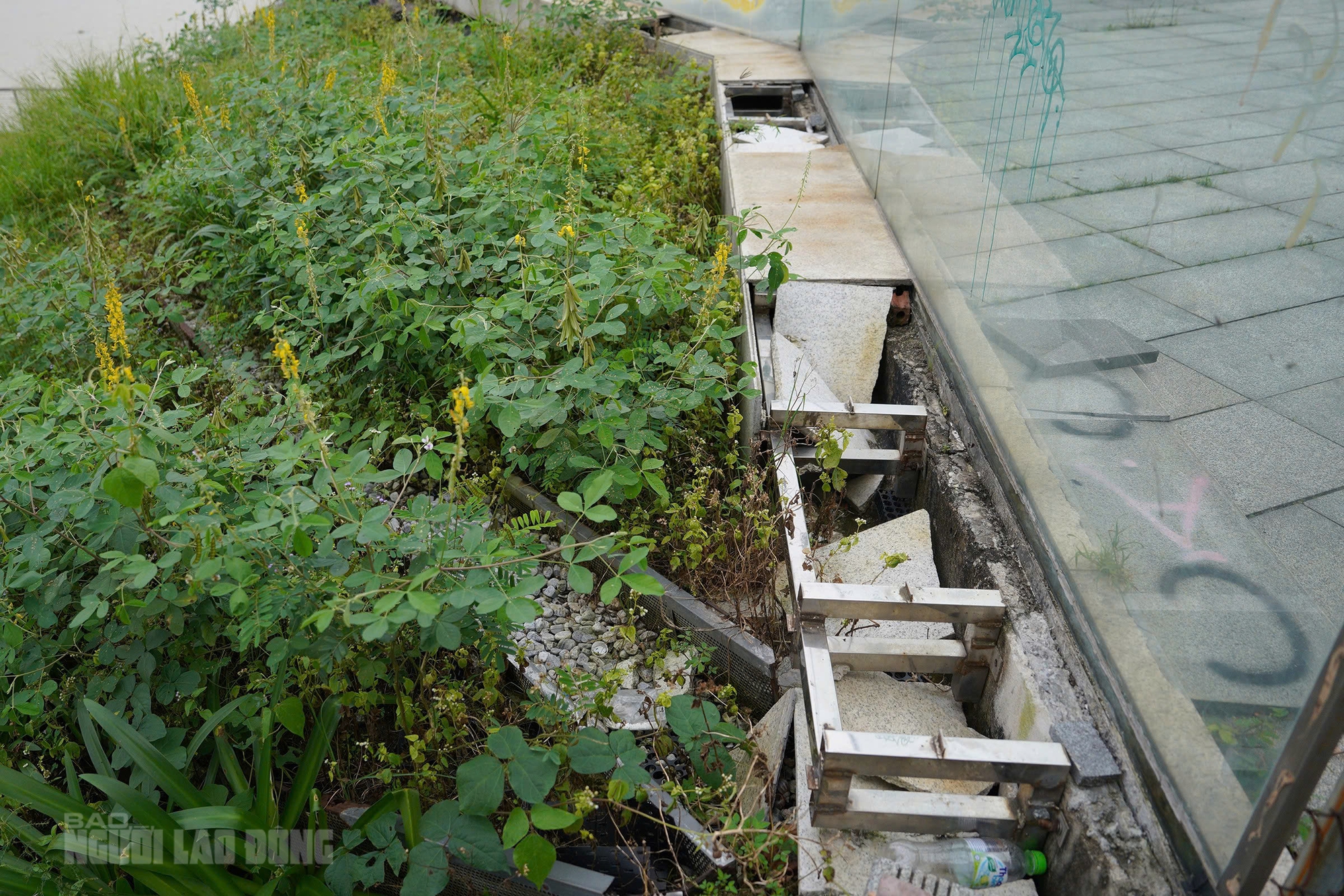 Cận cảnh bến du thuyền trăm tỉ bên sông Hàn - Ảnh 9.