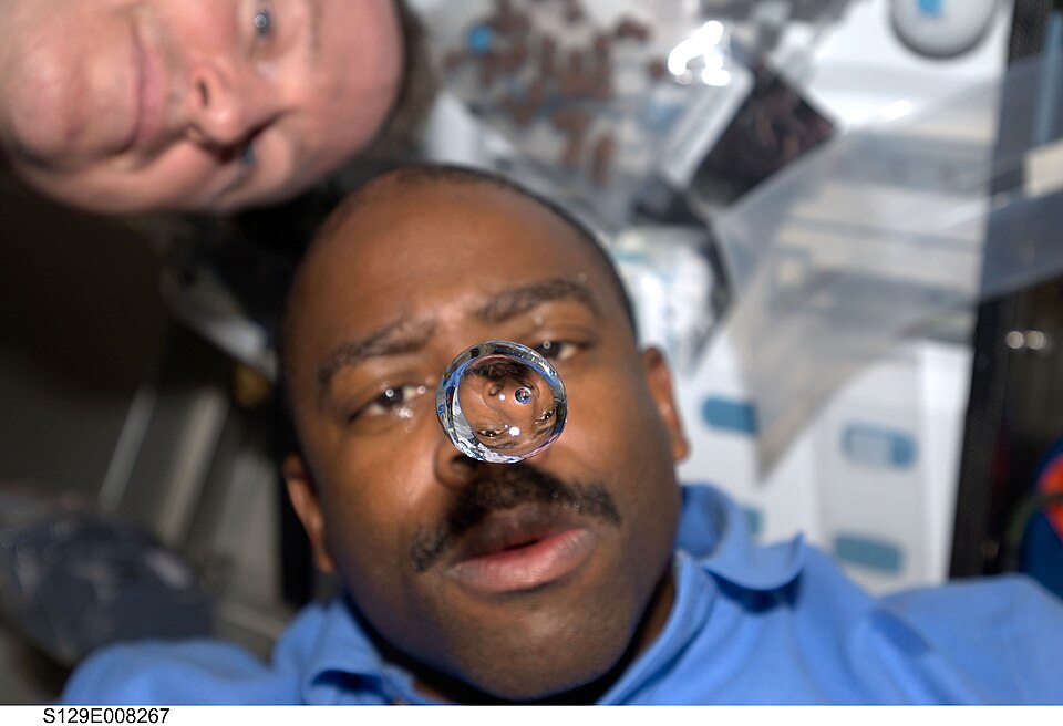 Trong môi trường không trọng lực, thức ăn do phi hành gia nuốt vào trôi xuống bụng như thế nào? - Ảnh 4.