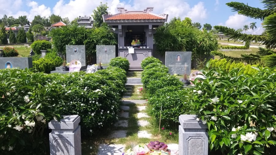 5 loại cây đừng trồng trước mộ phần, ảnh hưởng tới người đã khuất, phúc khí của con cháu- Ảnh 1. 5 loại cây đừng trồng trước mộ phần, ảnh hưởng tới người đã khuất, phúc khí của con cháu- Ảnh 1.