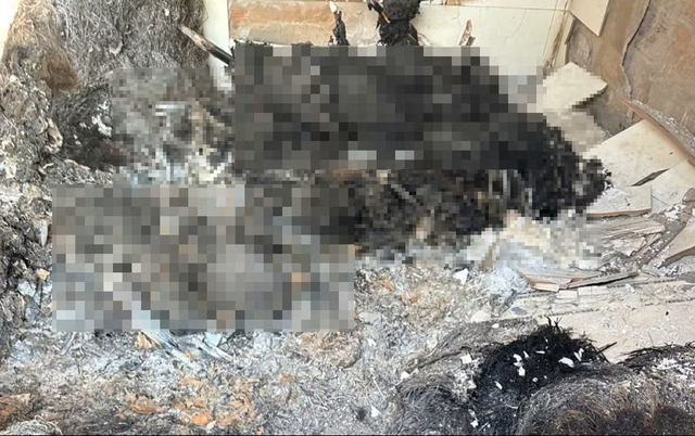 Vụ 4 người cùng gia đình chết bất thường trong căn nhà ở Gia Lai: Hiện trường có gì bất thường? - Ảnh 1.