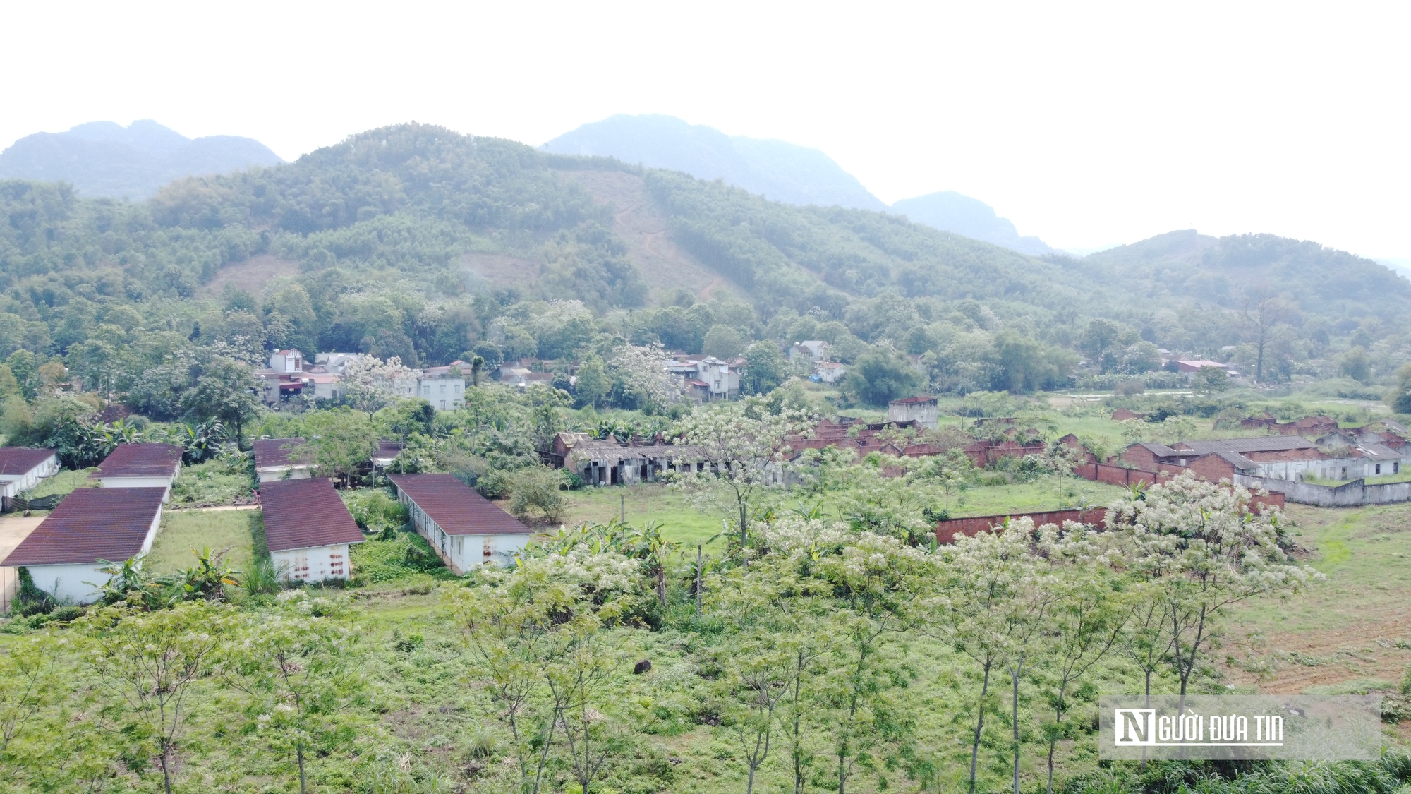 Thanh Hóa: Dự án nghìn tỷ xi măng Thanh Sơn vẫn "sa lầy" sau 16 năm- Ảnh 2. Thanh Hóa: Dự án nghìn tỷ xi măng Thanh Sơn vẫn "sa lầy" sau 16 năm- Ảnh 2.