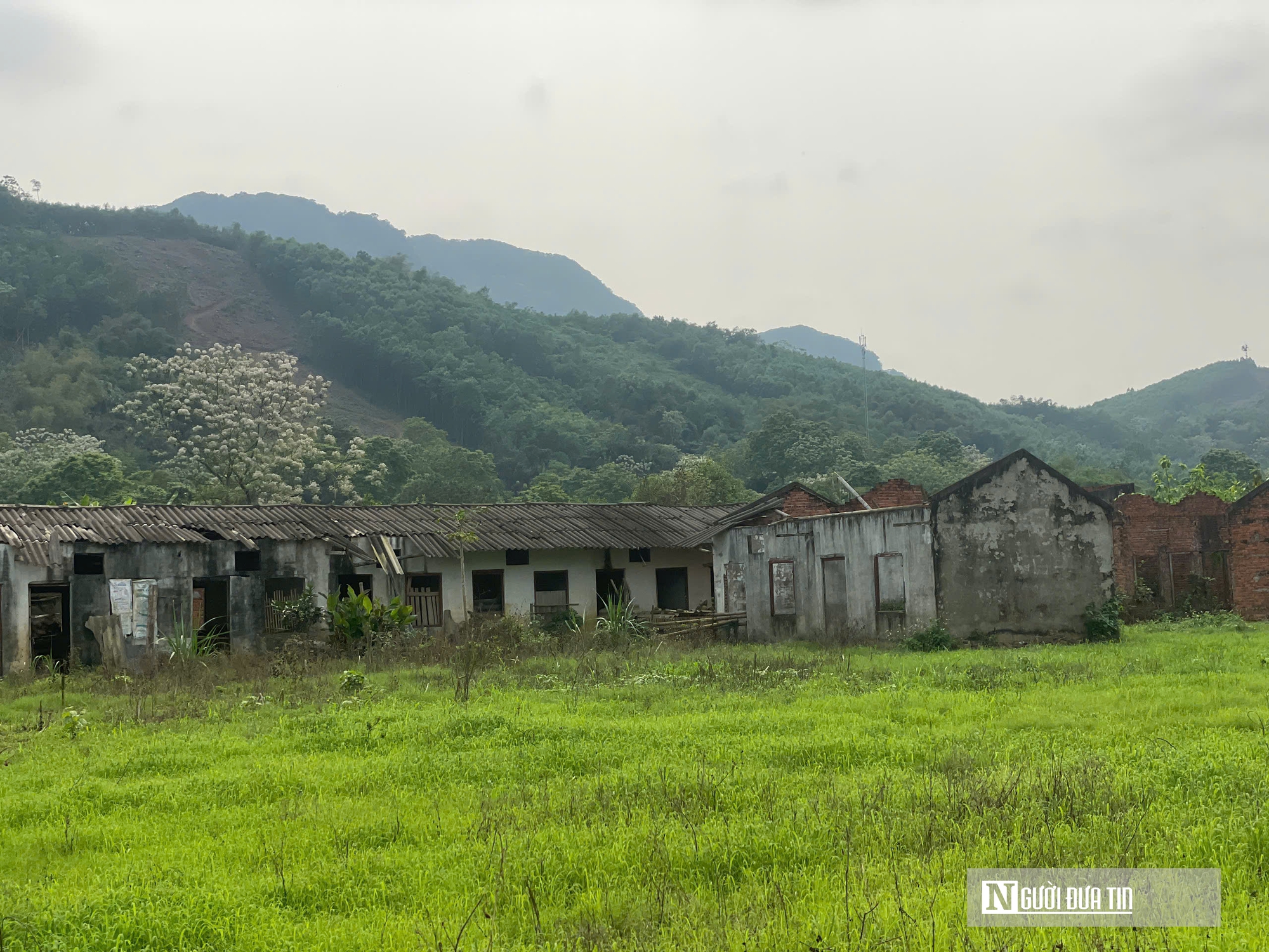 Thanh Hóa: Dự án nghìn tỷ xi măng Thanh Sơn vẫn "sa lầy" sau 16 năm- Ảnh 4. Thanh Hóa: Dự án nghìn tỷ xi măng Thanh Sơn vẫn "sa lầy" sau 16 năm- Ảnh 4.