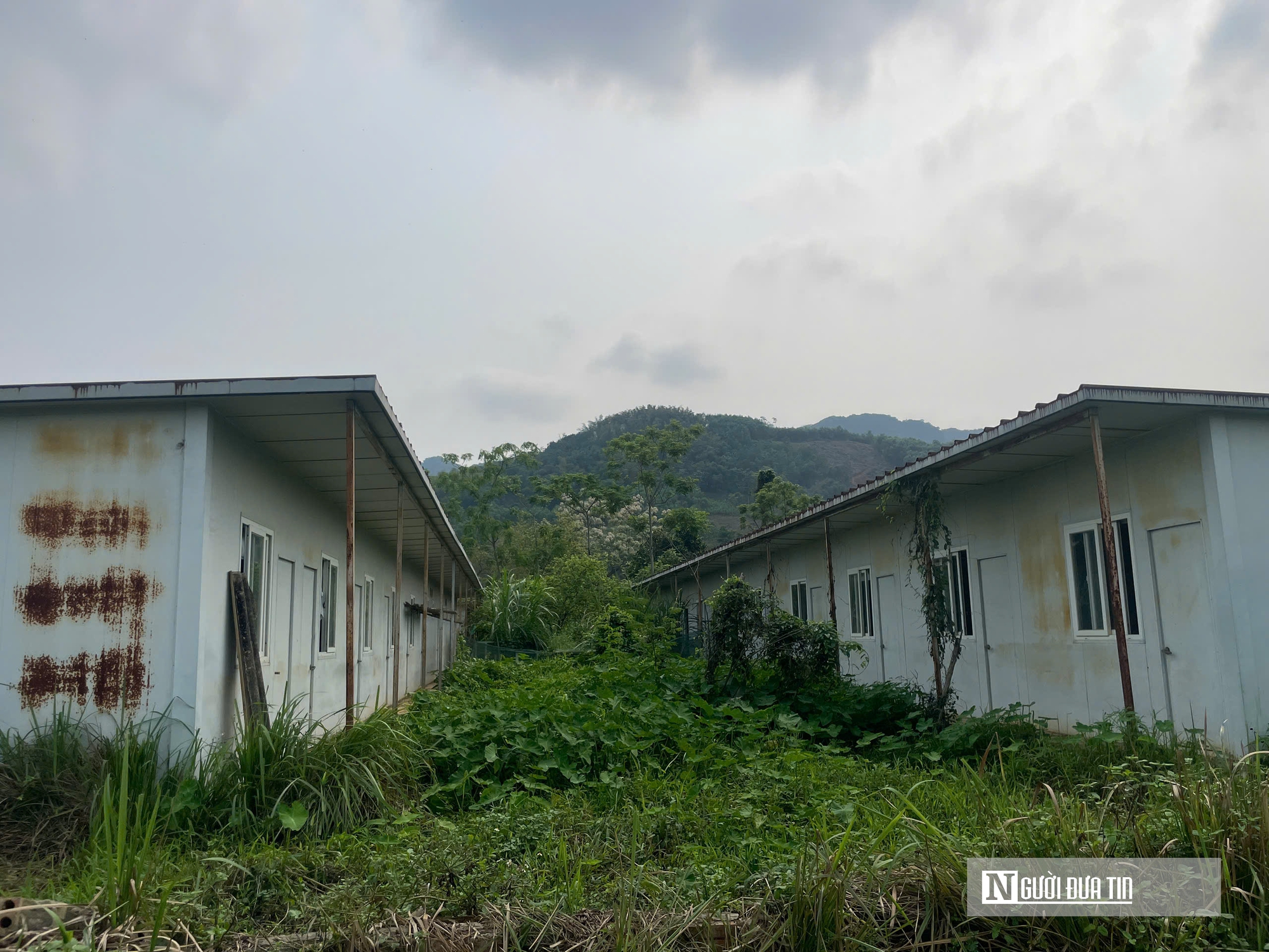 Thanh Hóa: Dự án nghìn tỷ xi măng Thanh Sơn vẫn "sa lầy" sau 16 năm- Ảnh 5. Thanh Hóa: Dự án nghìn tỷ xi măng Thanh Sơn vẫn "sa lầy" sau 16 năm- Ảnh 5.