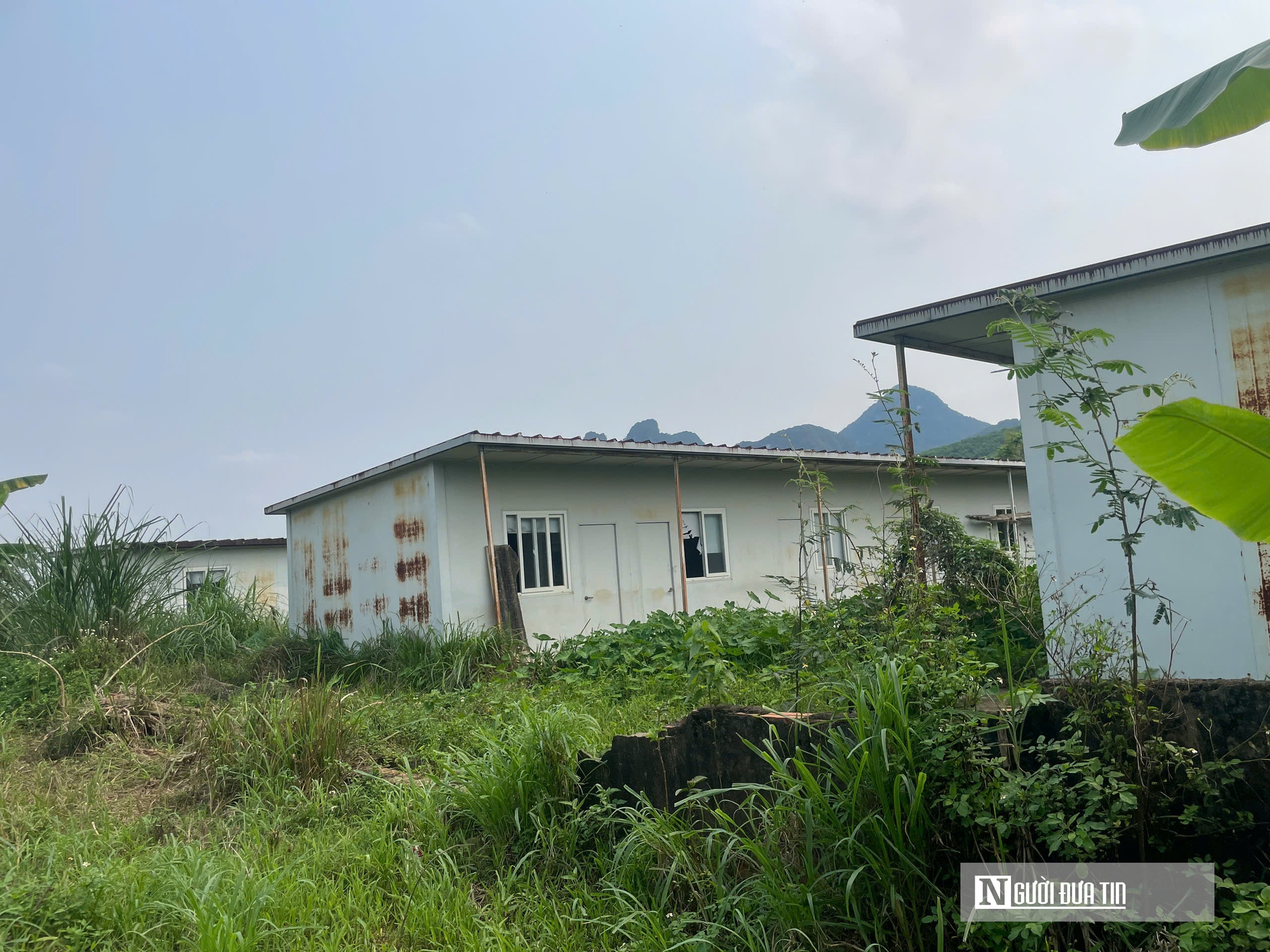 Thanh Hóa: Dự án nghìn tỷ xi măng Thanh Sơn vẫn "sa lầy" sau 16 năm- Ảnh 6. Thanh Hóa: Dự án nghìn tỷ xi măng Thanh Sơn vẫn "sa lầy" sau 16 năm- Ảnh 6.