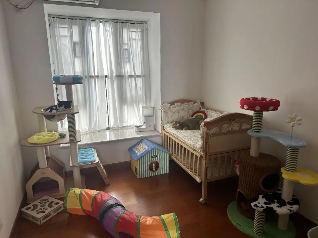 Có một kiểu hạnh phúc rất “đời thường”: 8 chi tiết thiết kế nhỏ giúp ngôi nhà sống càng lâu càng thấy dễ chịu - Ảnh 9.