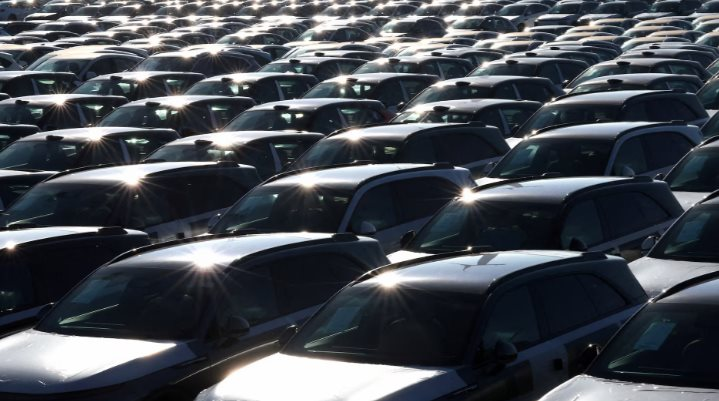 - Ảnh 1. - Ảnh 1.