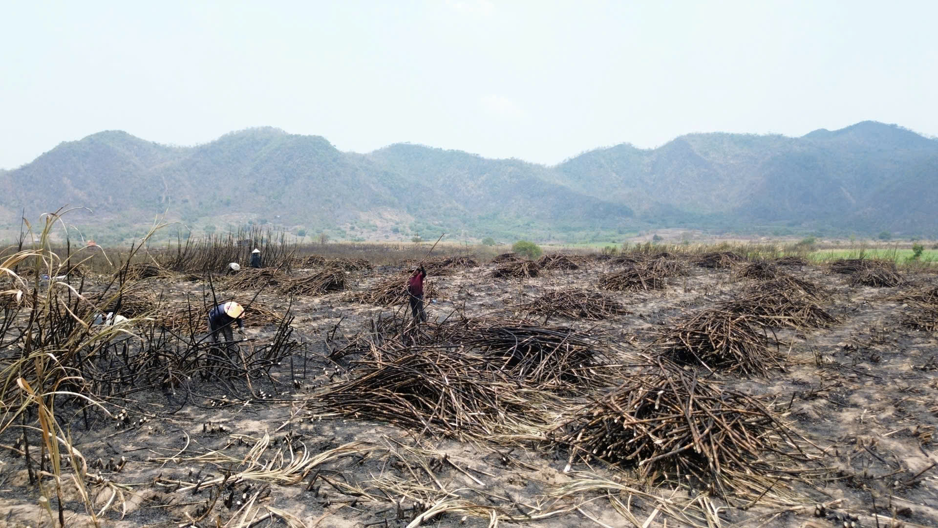 - Ảnh 4. - Ảnh 4.