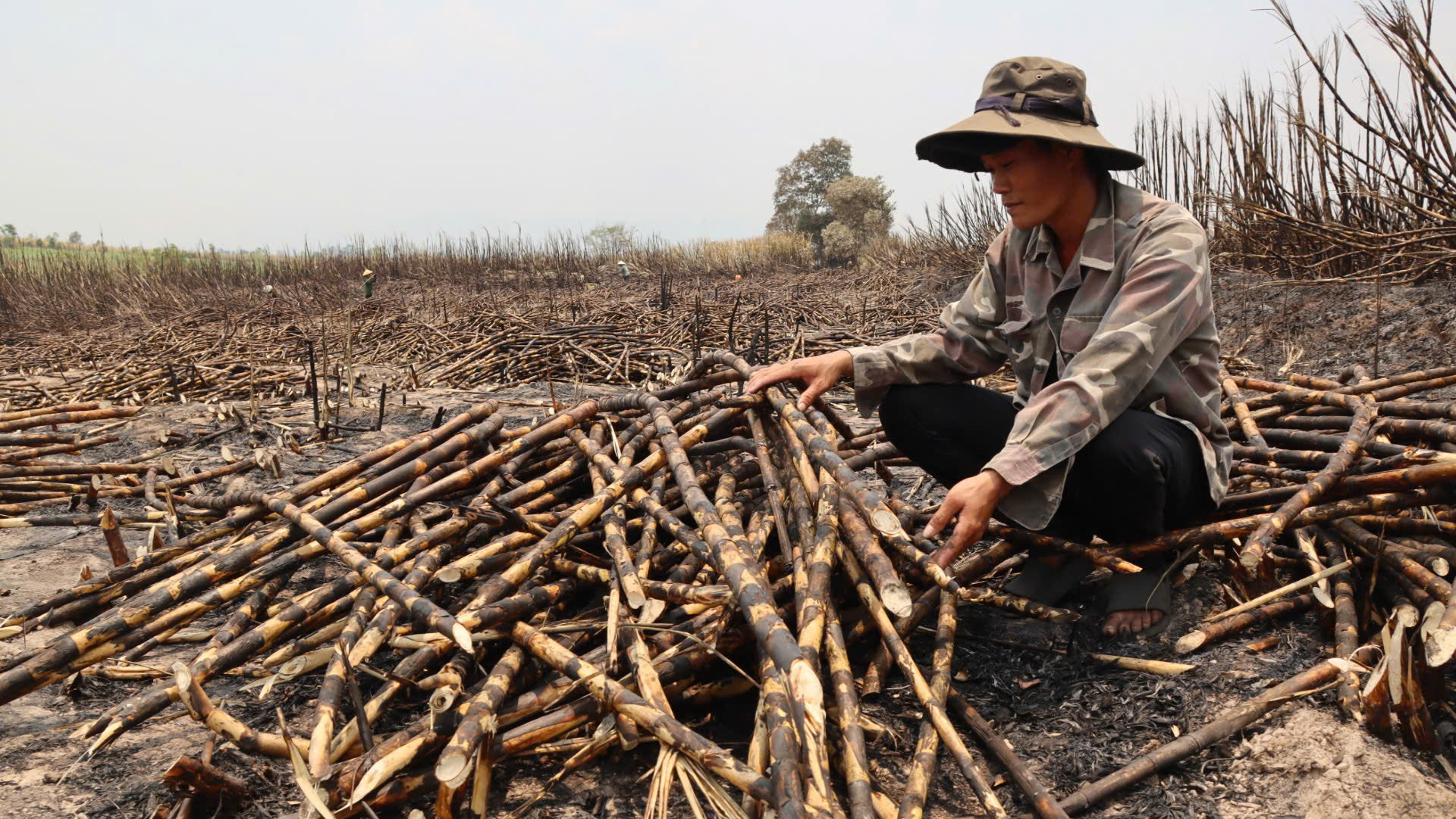 - Ảnh 3. - Ảnh 3.