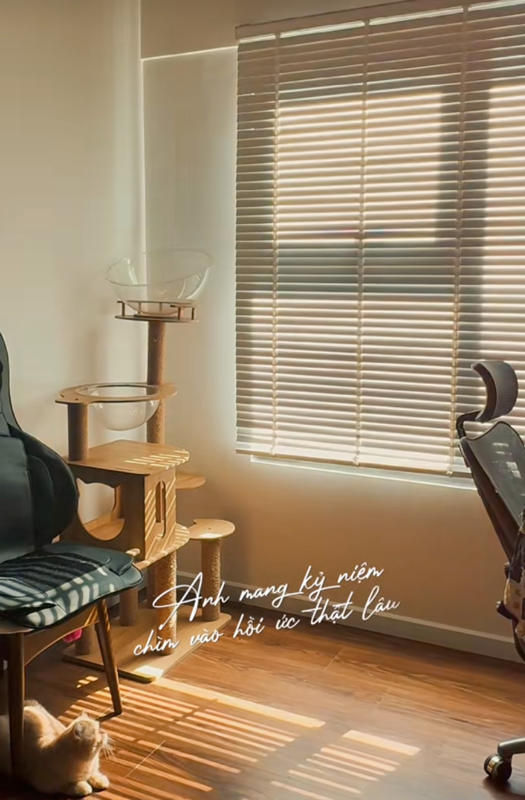 67m² hoàn thiện với 55 triệu: Cặp vợ chồng trẻ ở TP HCM tự làm nội thất, góc ban công xanh mát khiến căn nhà như rộng thêm- Ảnh 6.