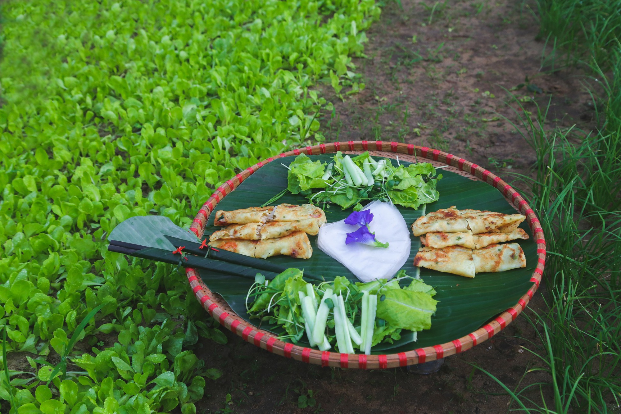 Ngôi làng nhỏ ở Hội An vừa được UNESCO vinh danh "Làng Du lịch tốt nhất thế giới": Cách phố cổ 3km, vé vào chỉ 35 nghìn- Ảnh 12.