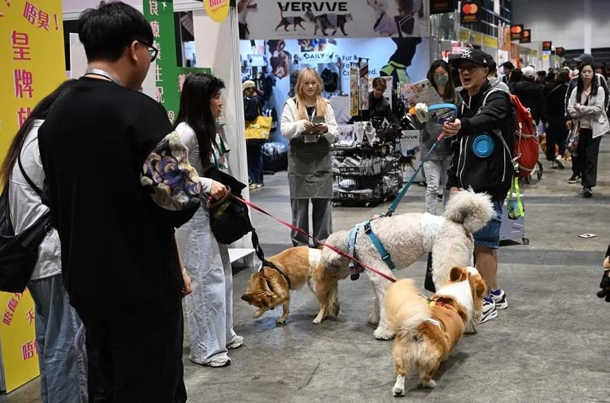 Công nghệ AI trong chăm sóc thú cưng: Xu hướng mới nổi bật năm 2026 - Ảnh 4.