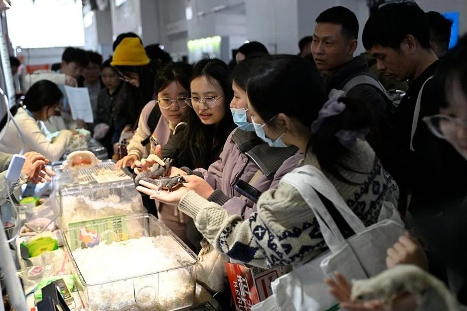 Công nghệ AI trong chăm sóc thú cưng: Xu hướng mới nổi bật năm 2026 - Ảnh 3.