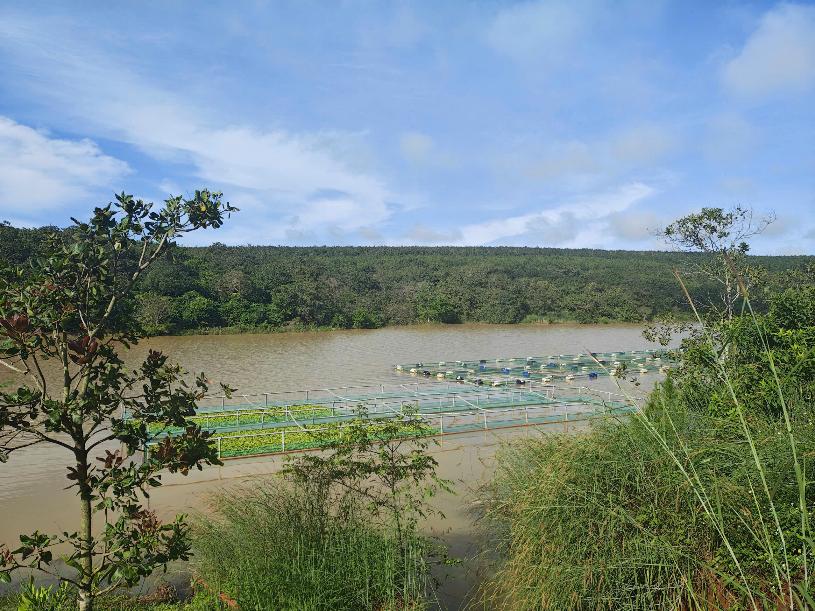 Từ tư duy marketing đến giấc mơ nuôi ốc khác biệt - Ảnh 1. Từ tư duy marketing đến giấc mơ nuôi ốc khác biệt - Ảnh 1.