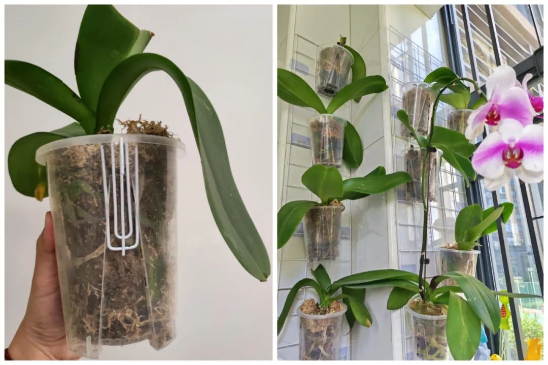 Dùng đồ gia dụng “ngược lại”, tôi tiết kiệm được gần một nửa chi phí mua sắm trong nhà - Ảnh 8.