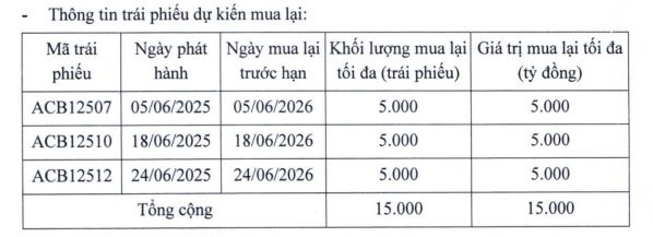 ACB lên kế hoạch phát hành 20.000 tỷ đồng trái phiếu - Ảnh 1.