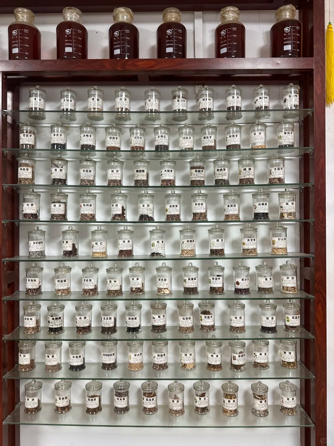 Giới trẻ Trung Quốc chọn vị đắng Thay vì ngọt ngào để sống khỏe mạnh - Ảnh 3.