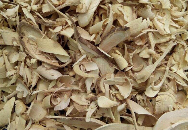 Ngỡ là cây dại ven đường, ai ngờ phần rễ bán tới 10 triệu/kg, vẫn có người mua - Ảnh 2.