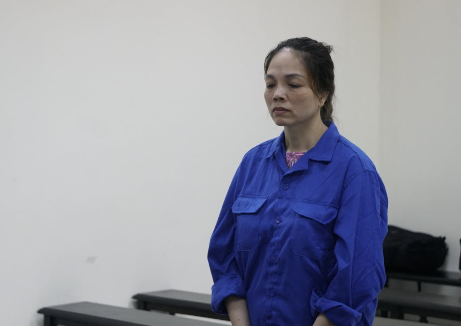 Nguyễn Thị Vân Anh bị xử phạt 4 tháng tù vì hành hung hàng xóm tại chung cư - Ảnh 1.