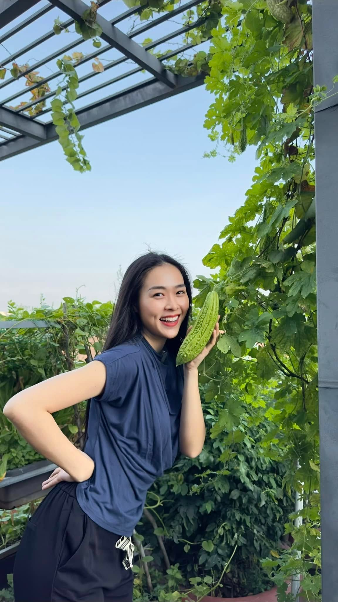 Mỹ phân Phí Phông - Diệp Bảo Ngọc: Làm chủ 3 công ty, sống trong nhà phố 100m2, sân thượng trồng gì mà lúc nào cũng trĩu quả? - Ảnh 4.