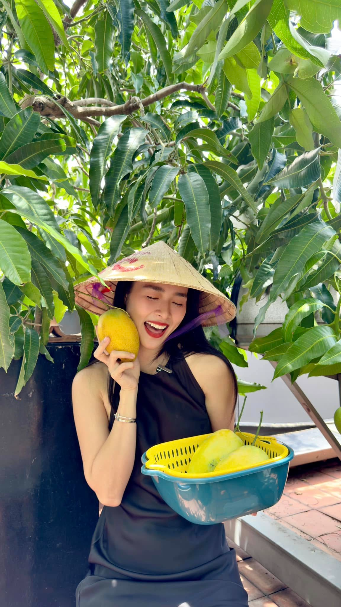 Mỹ phân Phí Phông - Diệp Bảo Ngọc: Làm chủ 3 công ty, sống trong nhà phố 100m2, sân thượng trồng gì mà lúc nào cũng trĩu quả? - Ảnh 3.