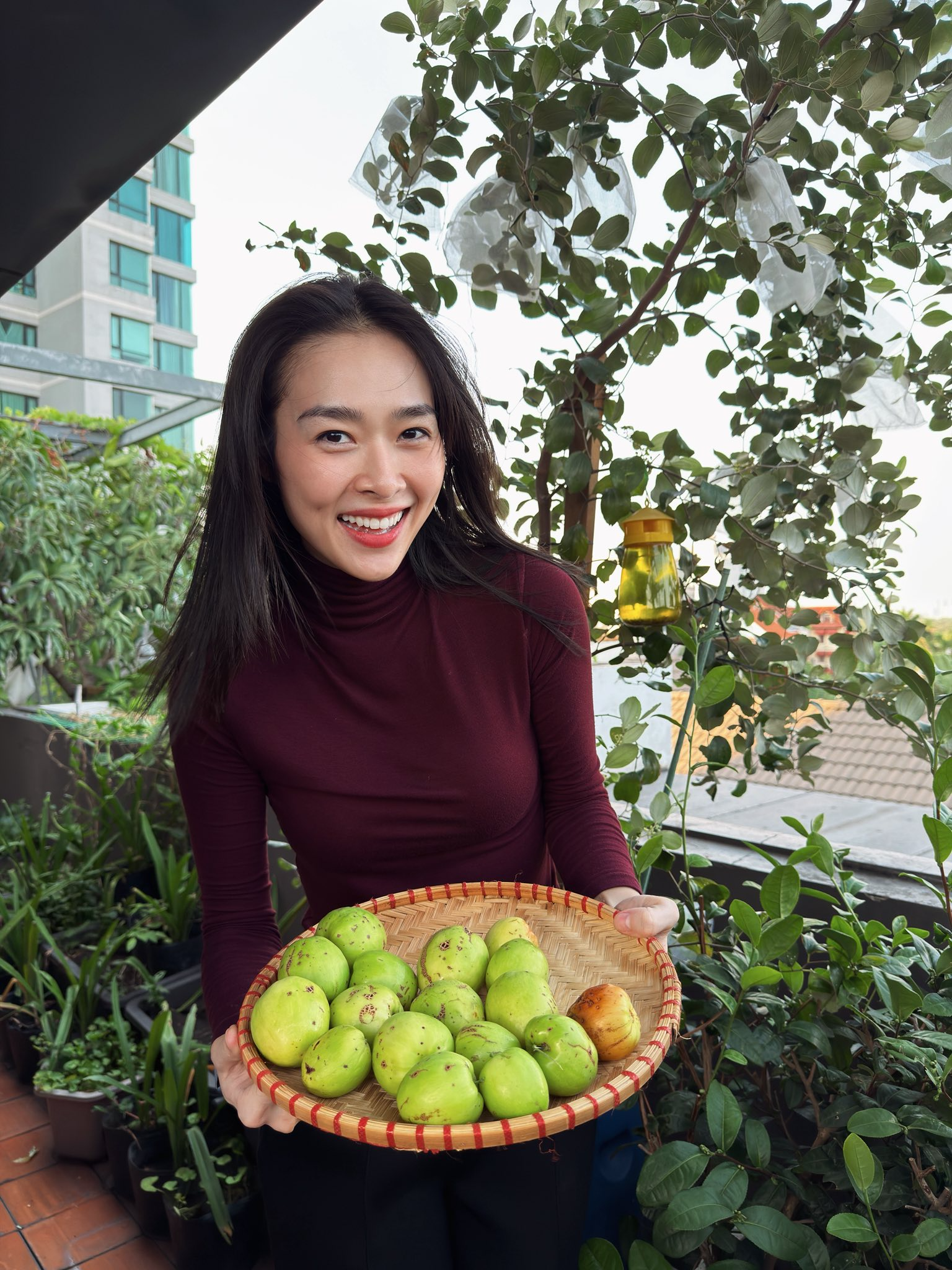 Mỹ phân Phí Phông - Diệp Bảo Ngọc: Làm chủ 3 công ty, sống trong nhà phố 100m2, sân thượng trồng gì mà lúc nào cũng trĩu quả? - Ảnh 1.