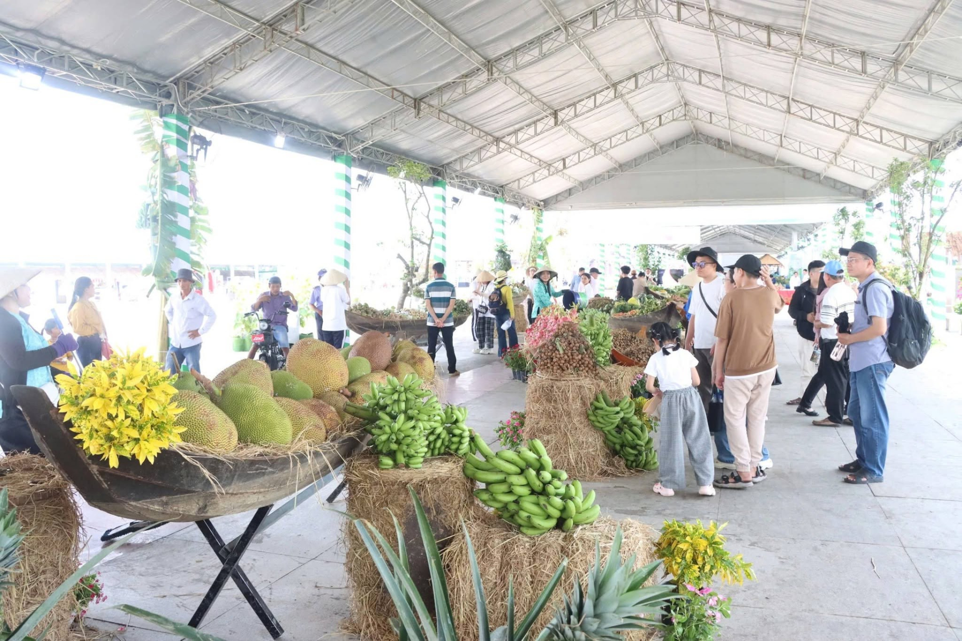 Lễ hội Trái cây Đồng Tháp thất thủ vì tiểu cảnh bị lấy mất trái cây ngay khi mới khai mạc - Ảnh 6.