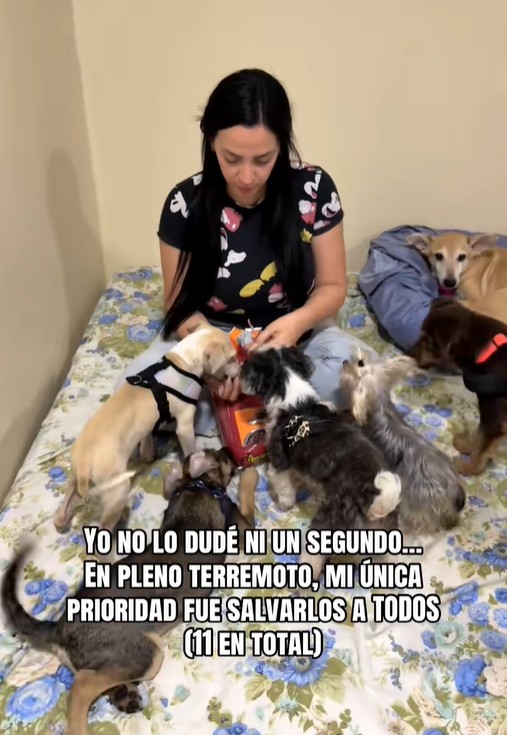 Giữa động đất rung chuyển Venezuela, cô gái quay ngược lên tòa nhà cứu 9 thú cưng: “Chúng là gia đình của tôi” - Ảnh 4. Giữa động đất rung chuyển Venezuela, cô gái quay ngược lên tòa nhà cứu 9 thú cưng: “Chúng là gia đình của tôi” - Ảnh 4.