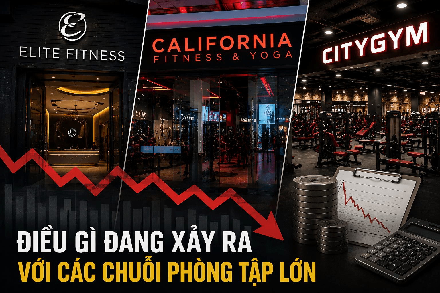 Elite Fitness rút khỏi TP.HCM, California Fitness & Yoga và CityGym cùng bị nêu tên trong danh sách nợ BHXH: Điều gì đang xảy ra với ngành gym Việt? - Ảnh 1. Elite Fitness rút khỏi TP.HCM, California Fitness & Yoga và CityGym cùng bị nêu tên trong danh sách nợ BHXH: Điều gì đang xảy ra với ngành gym Việt? - Ảnh 1.