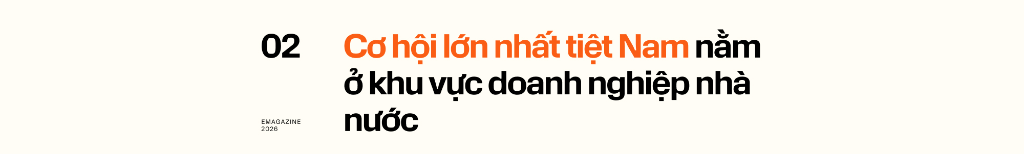 Lãnh đạo Roland Berger: Tôi phải nỗ lực gấp 300% để chứng minh người Việt có thể tư vấn ở đẳng cấp toàn cầu - Ảnh 3.