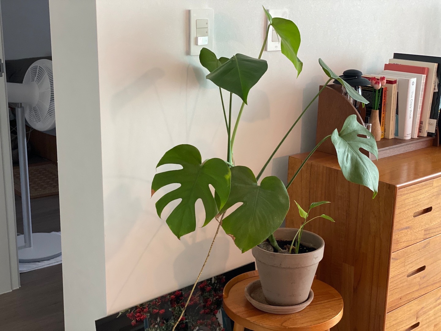 Ở tuổi 36, cô gái chọn sống như một “bà cụ thanh thản”: Công việc đã quá mệt, nhà cửa nhất định phải thật đơn giản- Ảnh 5.