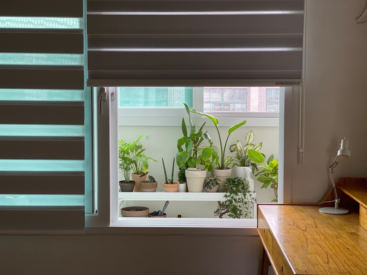 Ở tuổi 36, cô gái chọn sống như một “bà cụ thanh thản”: Công việc đã quá mệt, nhà cửa nhất định phải thật đơn giản- Ảnh 20.