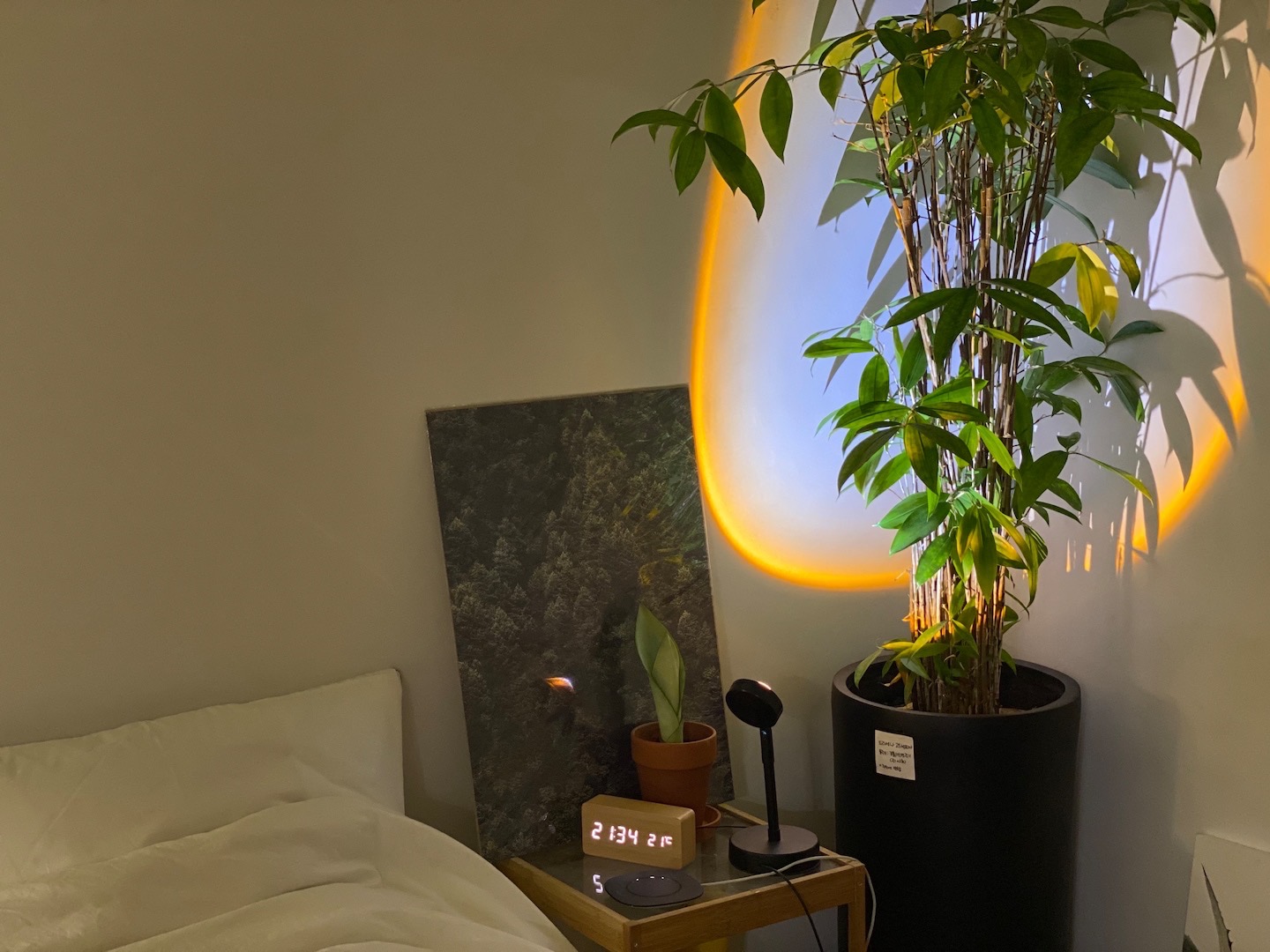 Ở tuổi 36, cô gái chọn sống như một “bà cụ thanh thản”: Công việc đã quá mệt, nhà cửa nhất định phải thật đơn giản- Ảnh 17.