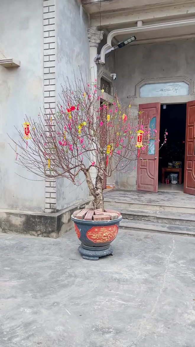 Căn nhà tuềnh toàng ở quê của bà Tuyết kênh "Ăn Cùng Bà Tuyết" - Ảnh 5.