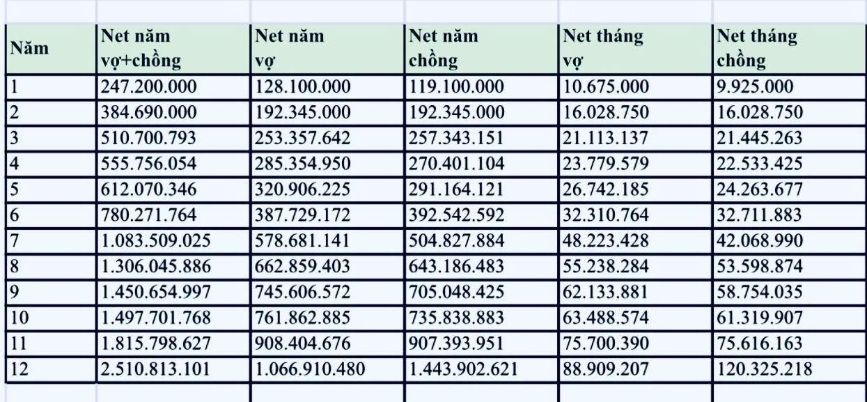 Từ mức lương 9 triệu/tháng, sau 12 năm làm công ăn lương, hai vợ chồng kỹ sư sở hữu nhà phố 6 tỷ, đất và xe đều có đủ- Ảnh 1.
