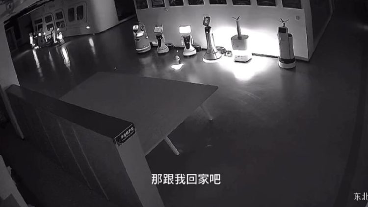 Robot tí hon "dụ" 12 robot lớn bỏ trốn khỏi phòng trưng bày lúc nửa đêm: Câu chuyện viral khiến cả Trung Quốc giật mình - Ảnh 2.