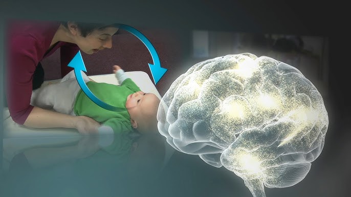 Điều bất ngờ về phát triển não bộ trẻ sơ sinh không phải học sớm - Ảnh 6. Điều bất ngờ về phát triển não bộ trẻ sơ sinh không phải học sớm - Ảnh 6.