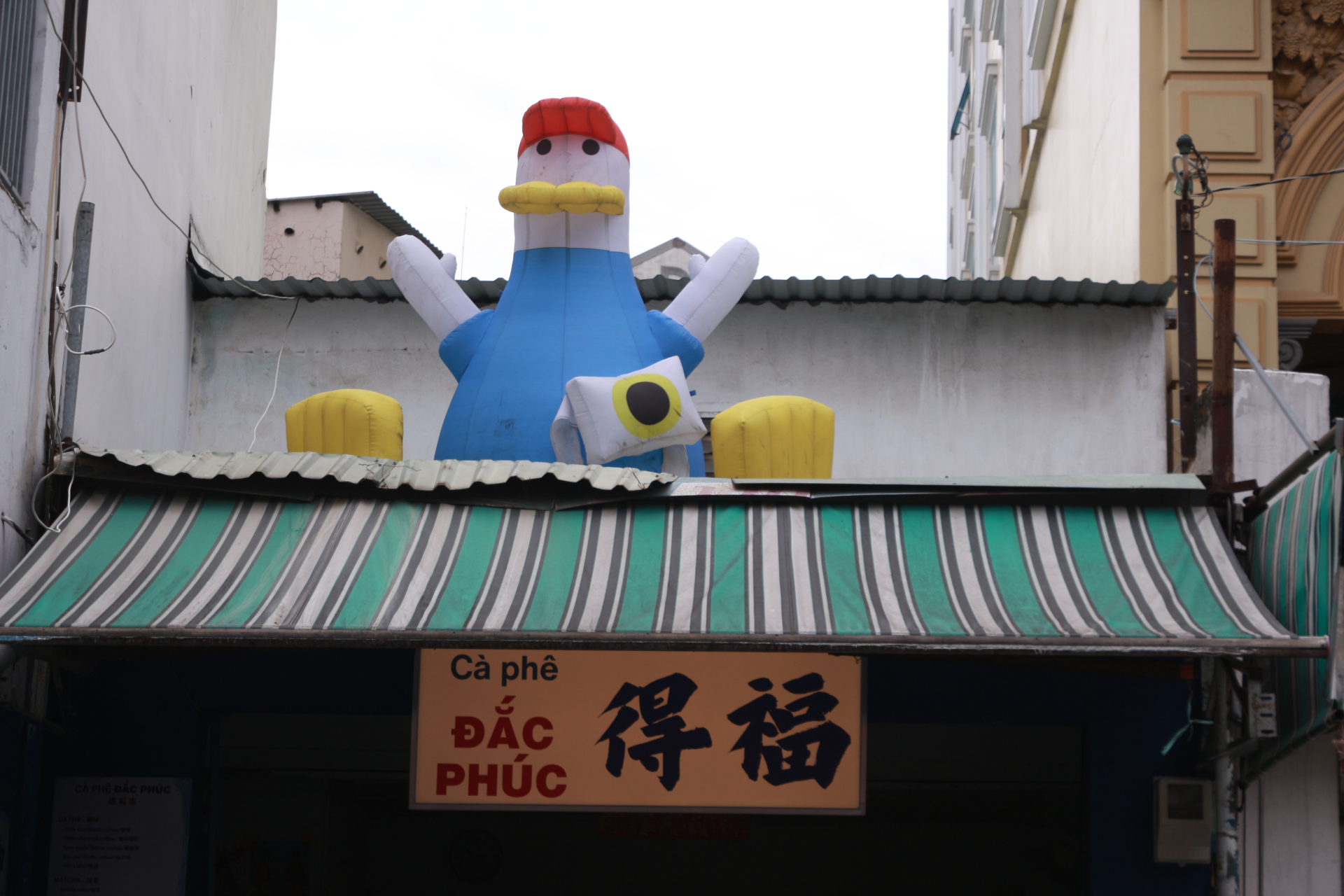 Quán cà phê ‘tu tiên’ từng đóng cửa vì quá đông khách: Phía sau cơn sốt cõi mạng là câu chuyện đời thường của một gia đình người Hoa - Ảnh 3. Quán cà phê ‘tu tiên’ từng đóng cửa vì quá đông khách: Phía sau cơn sốt cõi mạng là câu chuyện đời thường của một gia đình người Hoa - Ảnh 3.