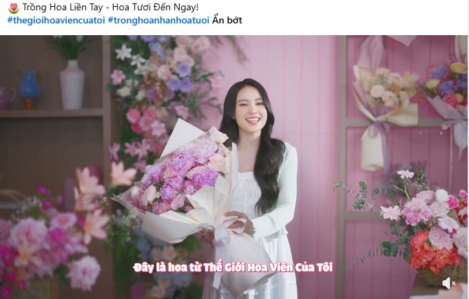 Chuyện gì đang xảy ra với Ninh Dương Lan Ngọc? - Ảnh 2. Chuyện gì đang xảy ra với Ninh Dương Lan Ngọc? - Ảnh 2.