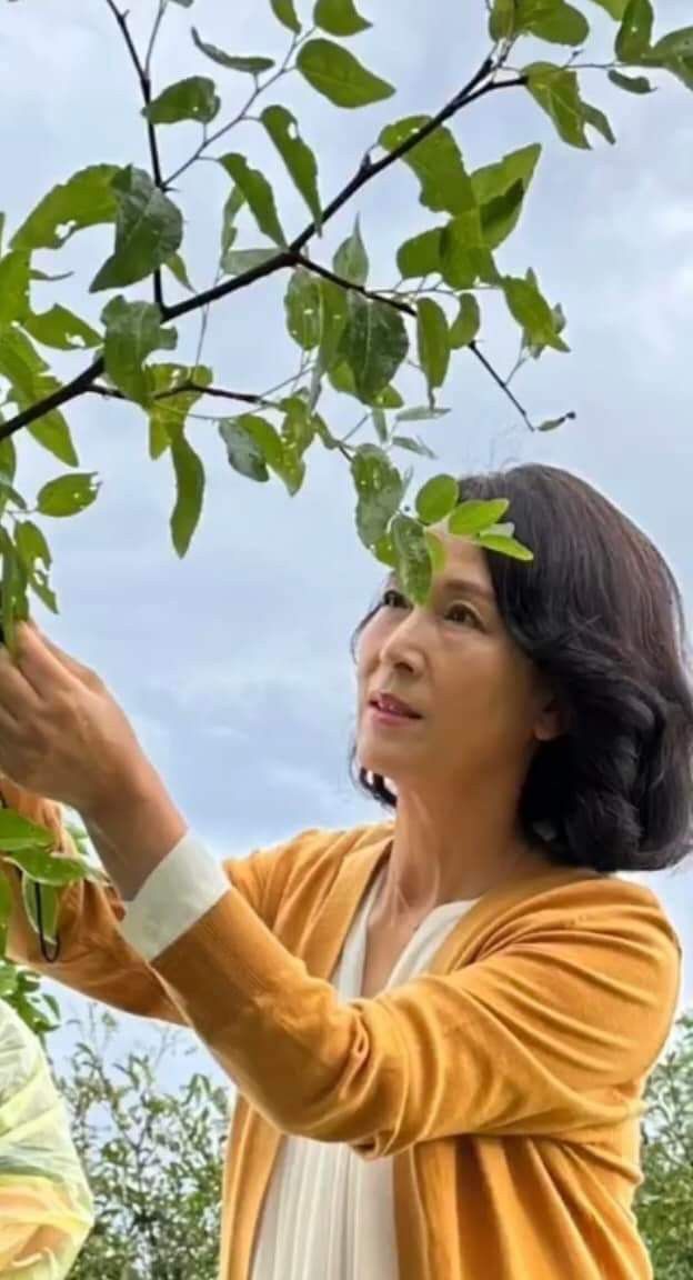 5 khuyên tài chính người sau tuổi 50 nên ngừng nghe nếu muốn giữ tiền dưỡng già - Ảnh 1.