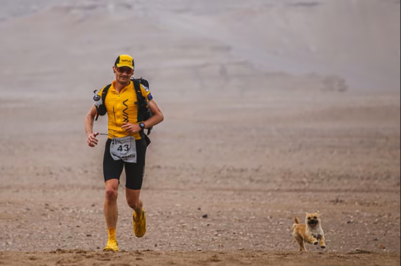 Chú chó hoang chạy 125 km xuyên sa mạc theo chân VĐV siêu marathon rồi đột ngột mất tích: Cái kết sau 9 năm gây bất ngờ - Ảnh 1. Chú chó hoang chạy 125 km xuyên sa mạc theo chân VĐV siêu marathon rồi đột ngột mất tích: Cái kết sau 9 năm gây bất ngờ - Ảnh 1.