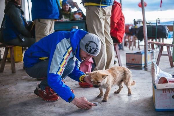 Chú chó hoang chạy 125 km xuyên sa mạc theo chân VĐV siêu marathon rồi đột ngột mất tích: Cái kết sau 9 năm gây bất ngờ - Ảnh 3. Chú chó hoang chạy 125 km xuyên sa mạc theo chân VĐV siêu marathon rồi đột ngột mất tích: Cái kết sau 9 năm gây bất ngờ - Ảnh 3.